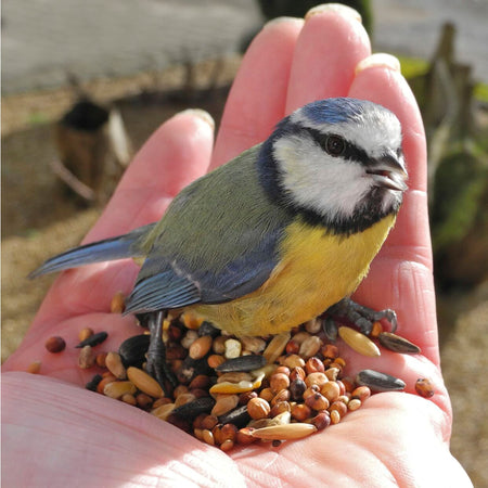 Twootz Wild Bird Original 25kg