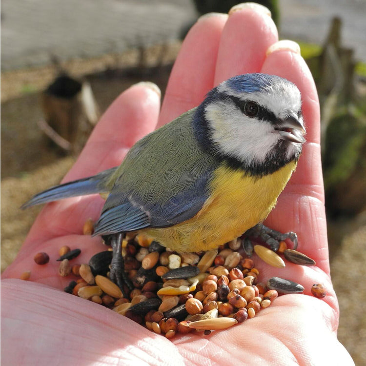 Twootz Wild Bird Original 25kg