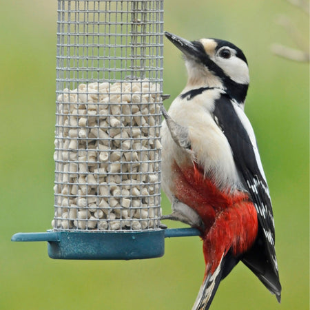 Twootz Wildbird Suet Pellets Sunflower Hearts 12.6kg