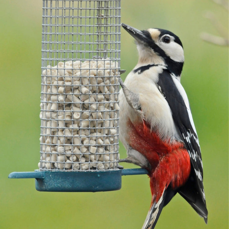 Twootz Wildbird Suet Pellets Sunflower Hearts 12.6kg