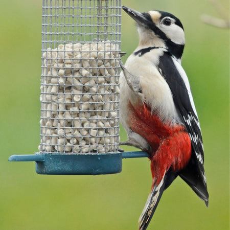 Twootz Wildbird Suet Pellets Fruity 12.6kg