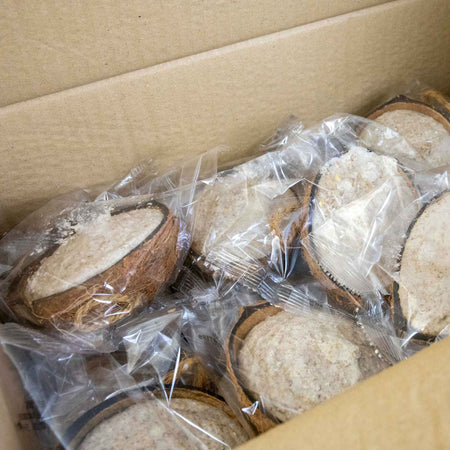 Twootz Fat Filled Coconut Halves 64 pack x 2