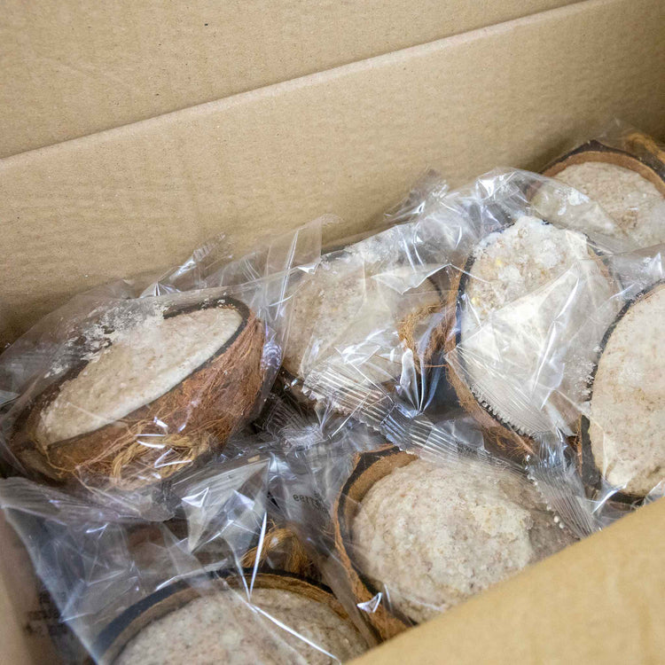 Twootz Fat Filled Coconut Halves 64 pack x 2