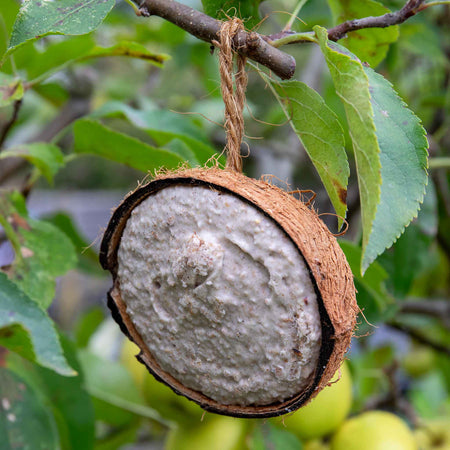 Twootz Fat Filled Coconut Halves 64 pack x 2