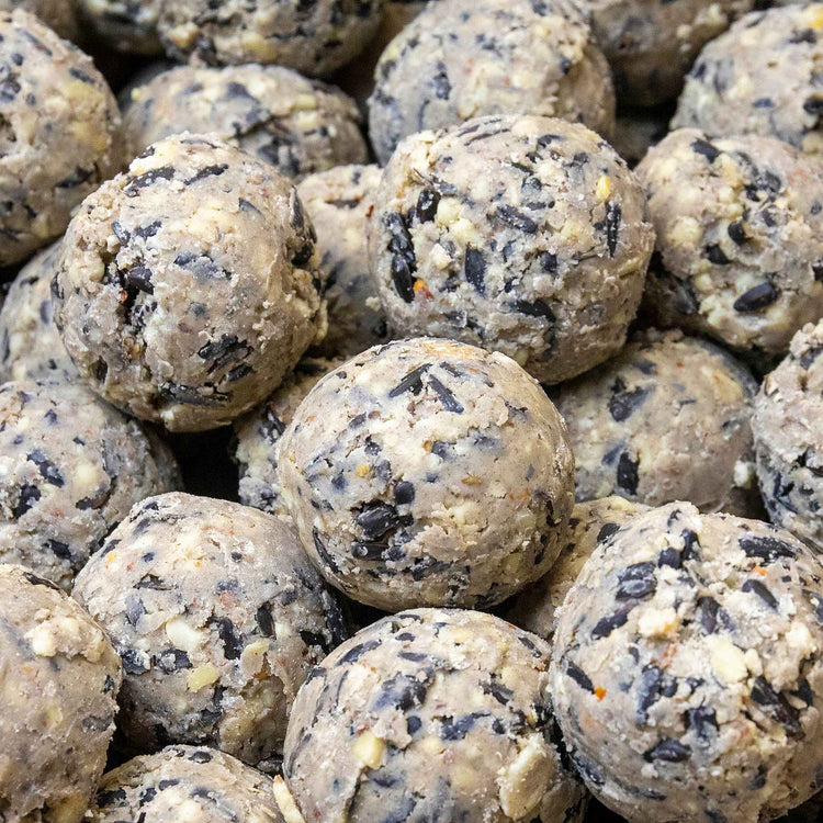 Twootz Un-netted Ultimate Suet Balls 25kg x 2