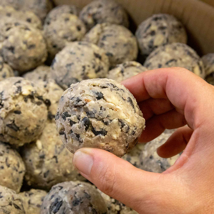 Twootz Un-netted Ultimate Suet Balls 25kg x 2