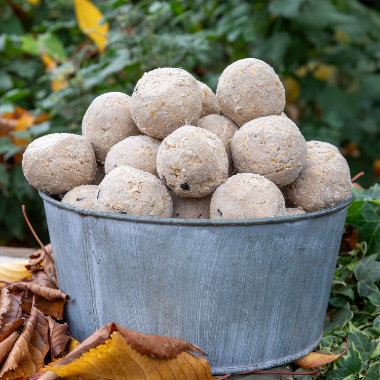 Twootz Un-netted Fat Balls 25kg