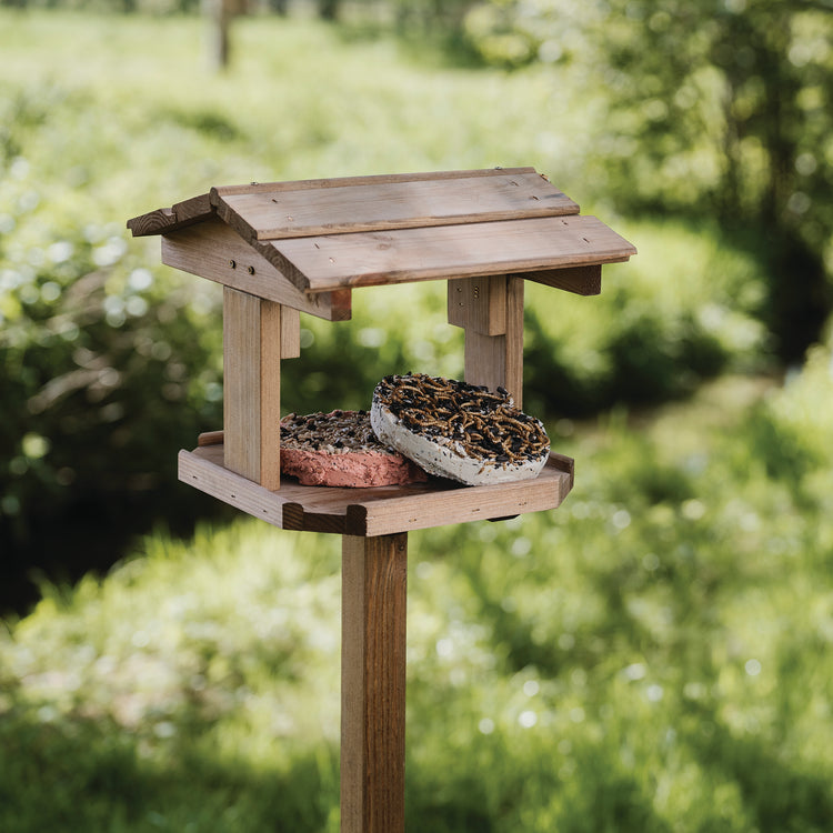 Peckish Everyday Garden Bird Table