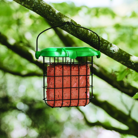 Gardman Berry Suet Feast