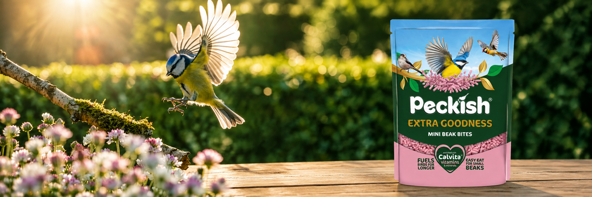 Peckish Bird Food