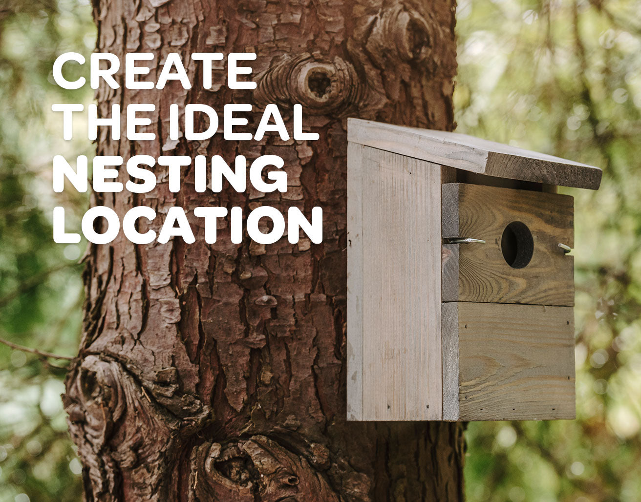 Neting Pic Reading the Signs of Birds Nesting - Advice – Peckish UK