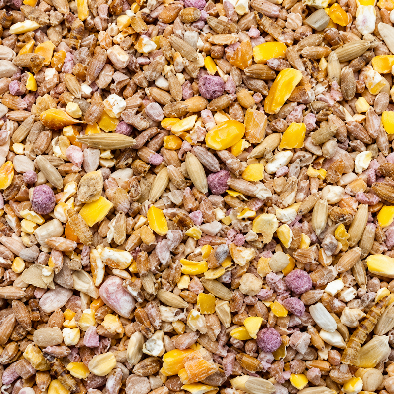 Twootz Robin & Songbird Hi Energy Mix 12.6kg