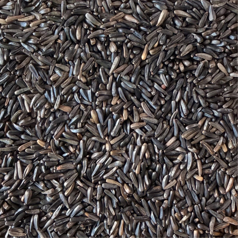 Twootz Niger Seed 12.6kg