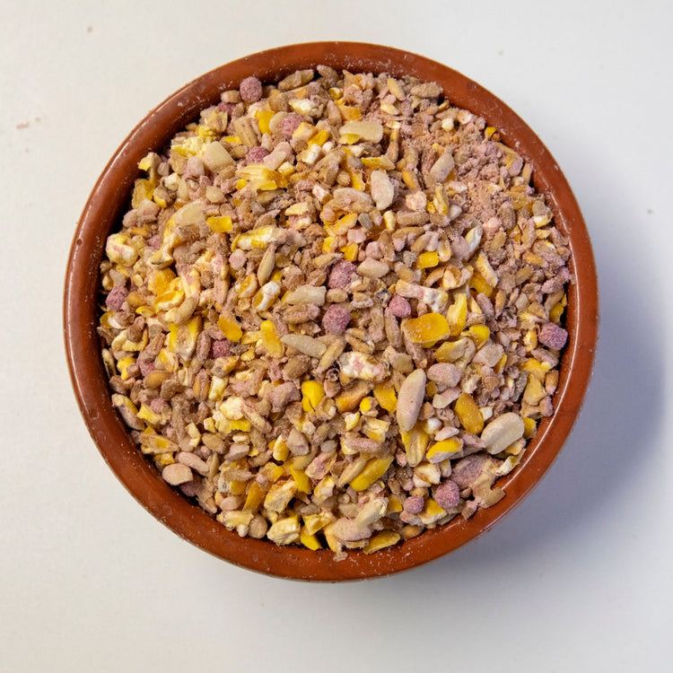 Twootz Robin & Songbird Hi Energy Mix 12.6kg
