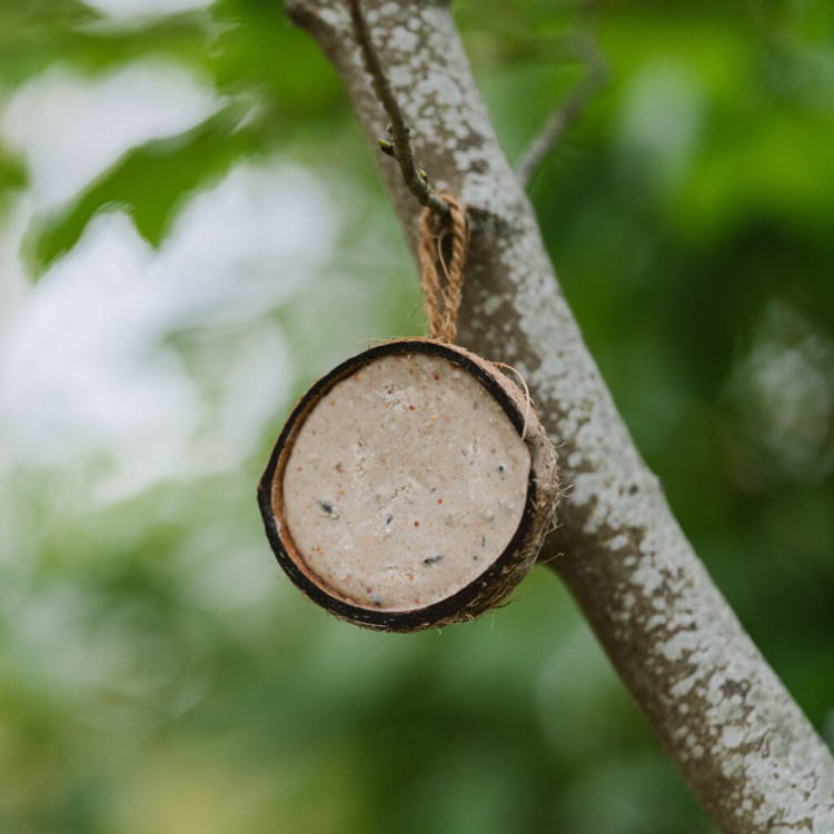 Gardman Suet Filled Coconut Feeder