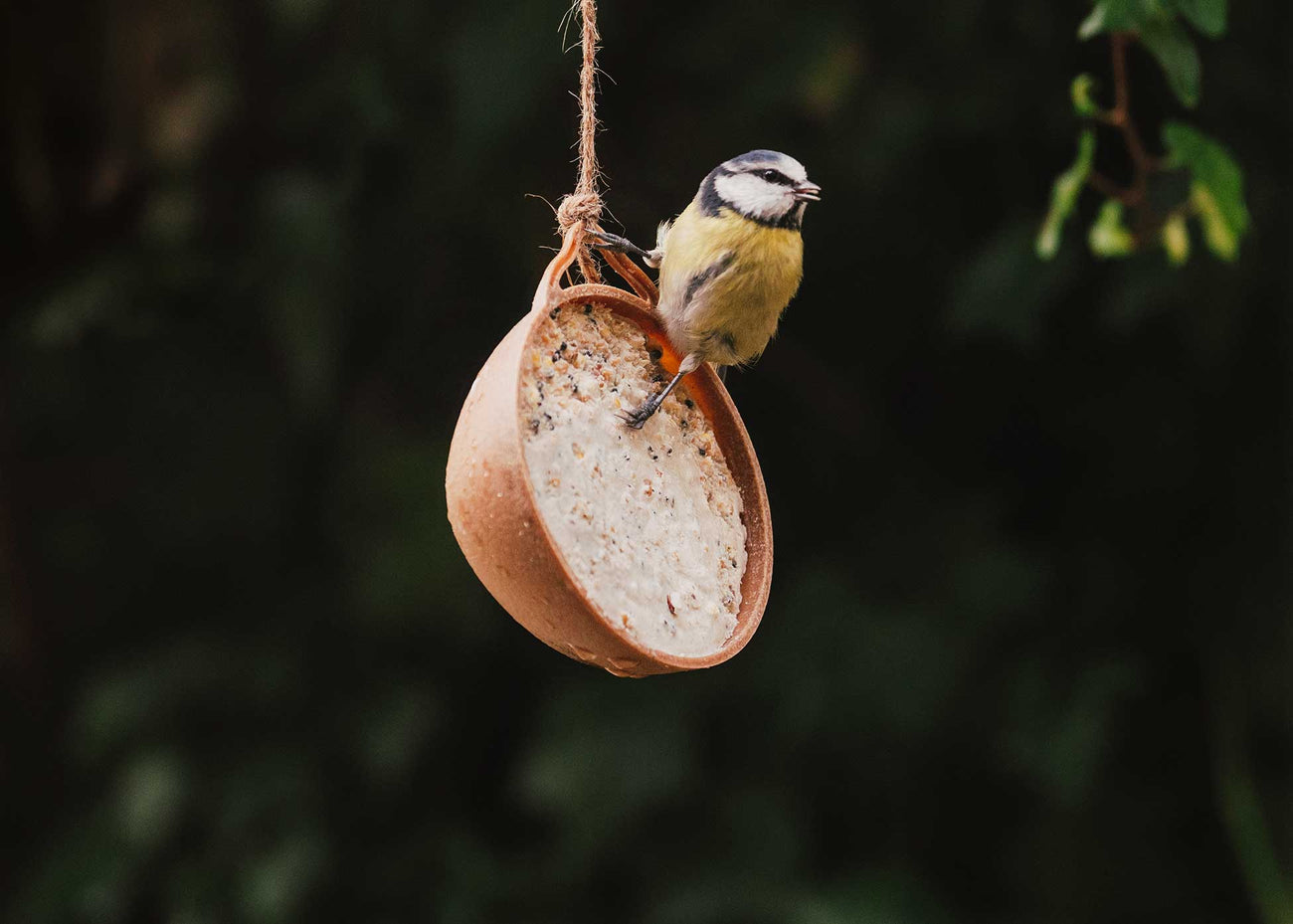 Peckish UK