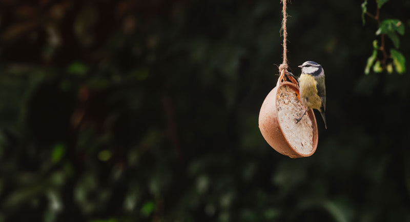 Peckish UK