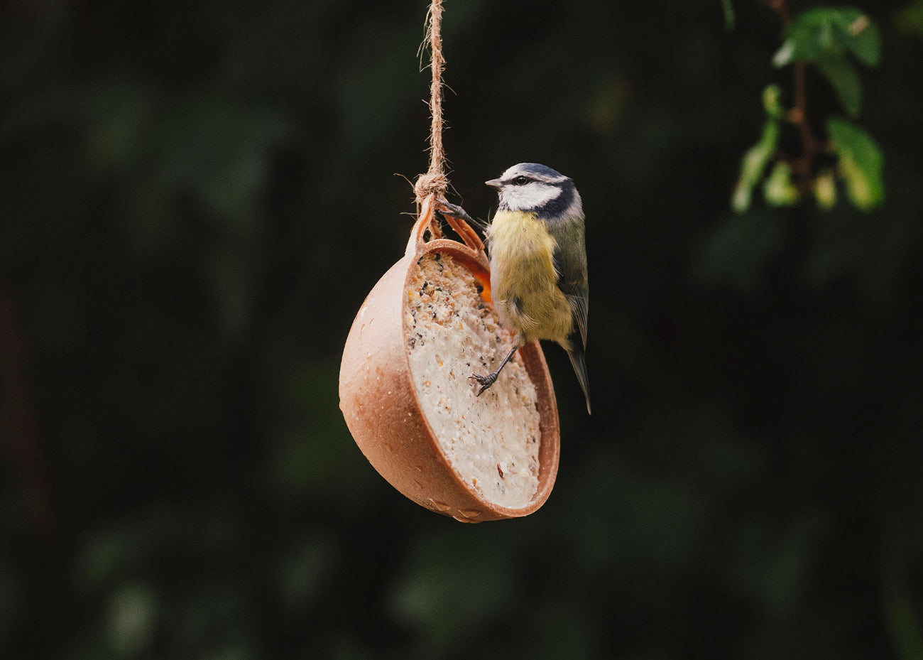 Peckish UK