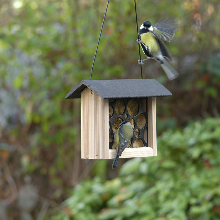 Peckish Woodland Feast Suet Cake Feeder
