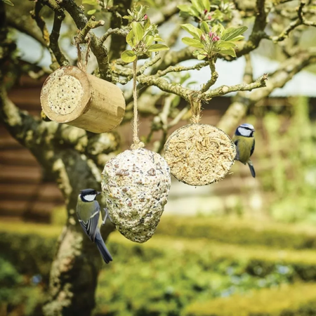 Gardman Suet Filled Bamboo Feeder