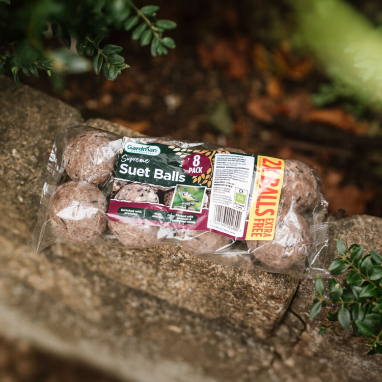 Gardman Supreme Suet Balls 6 pack