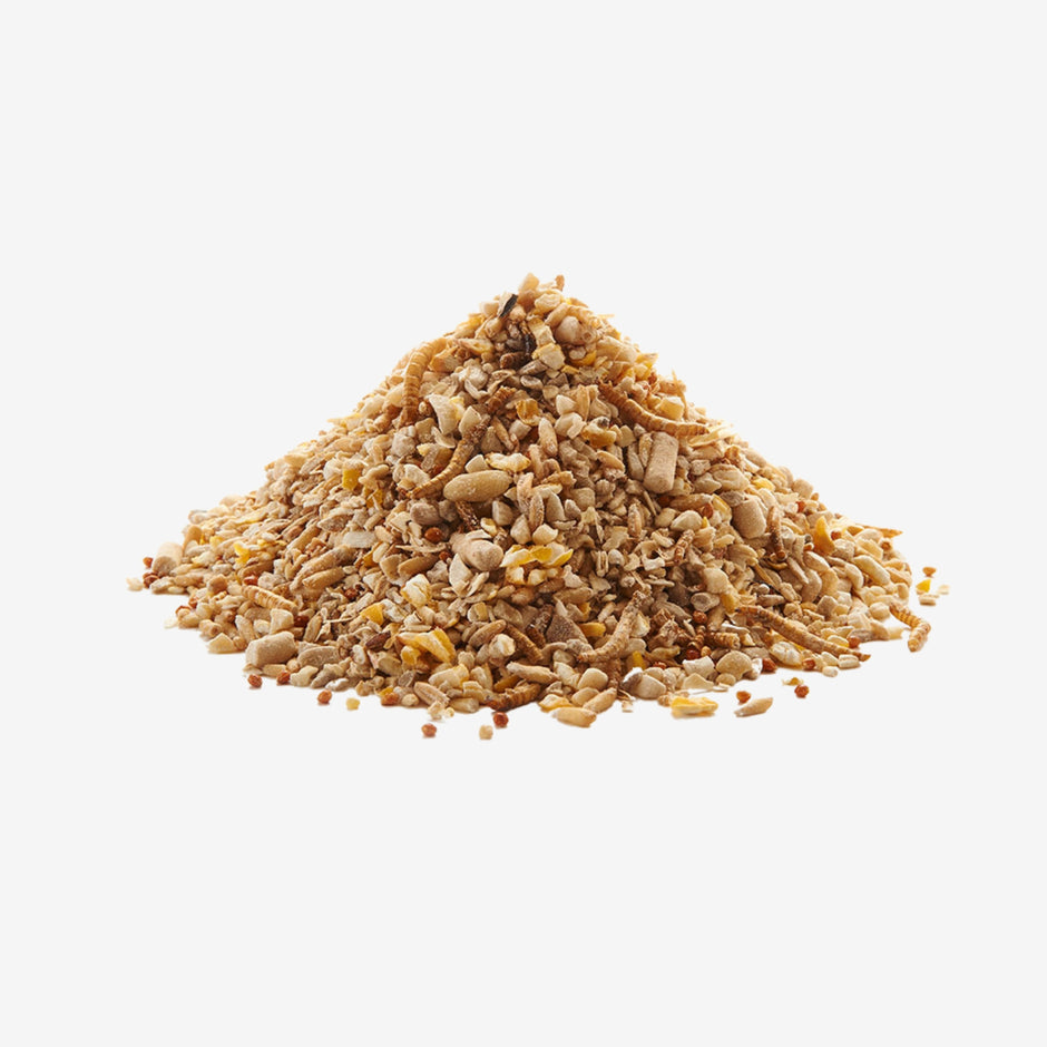 Bird Seed Mixes Bird Food Peckish UK