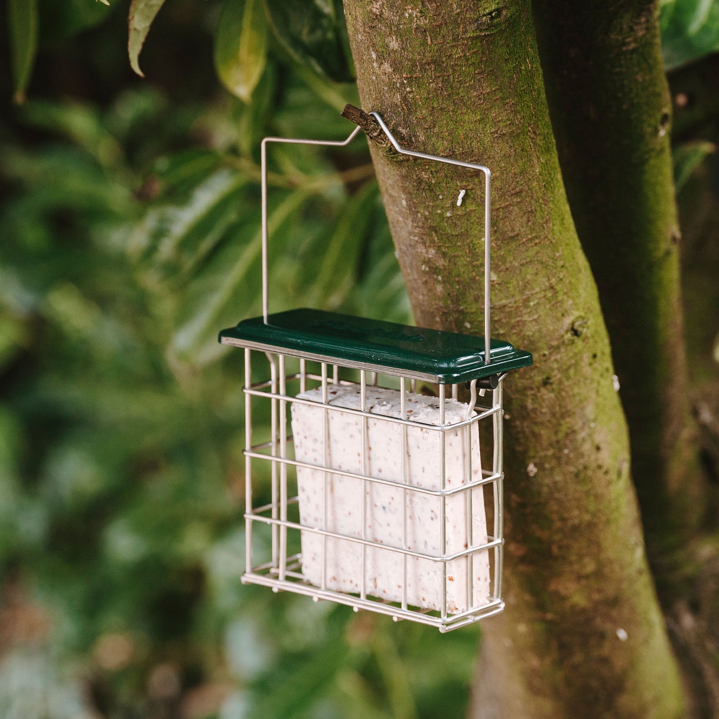 Peckish All Weather Suet Cake Feeder hanging in tree