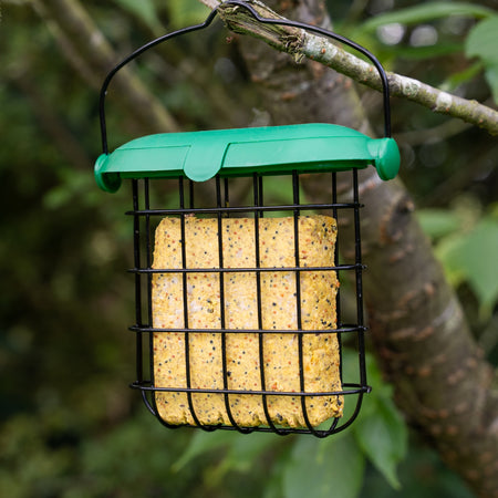 Peckish Extra Goodness Suet Cake