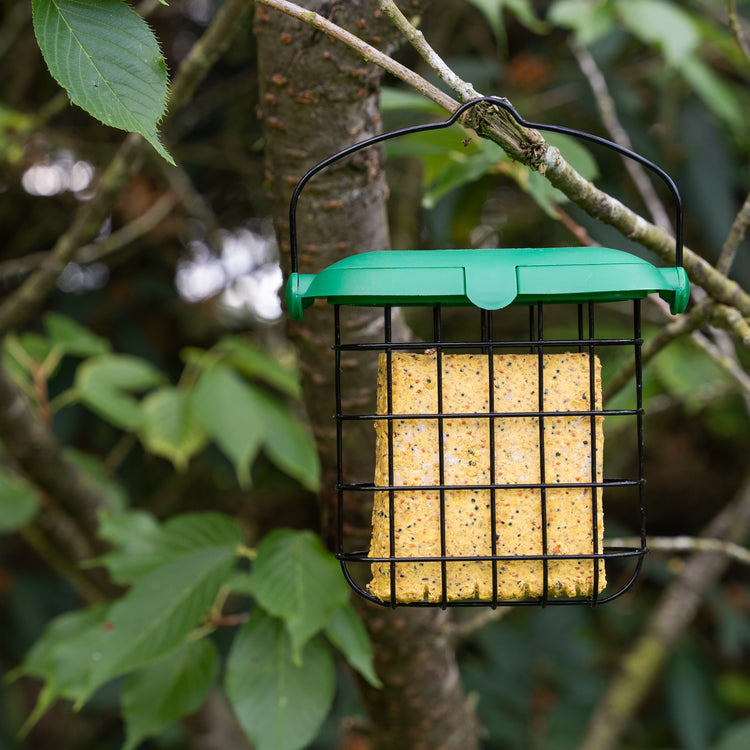 Peckish Extra Goodness Suet Cake