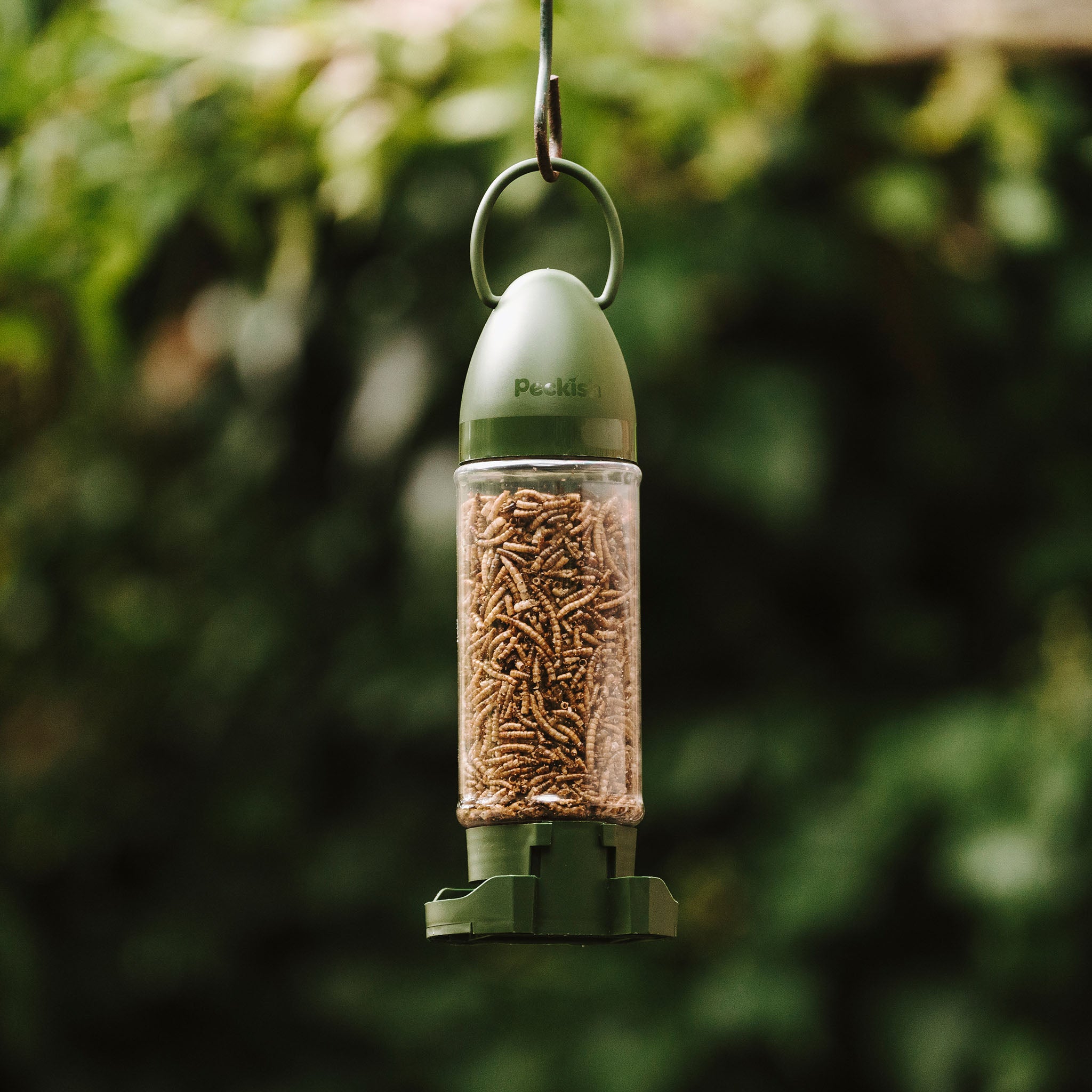 Filled Bird Feeders Bird Feeders Peckish UK Filled bird feeders bird feeders peckish uk