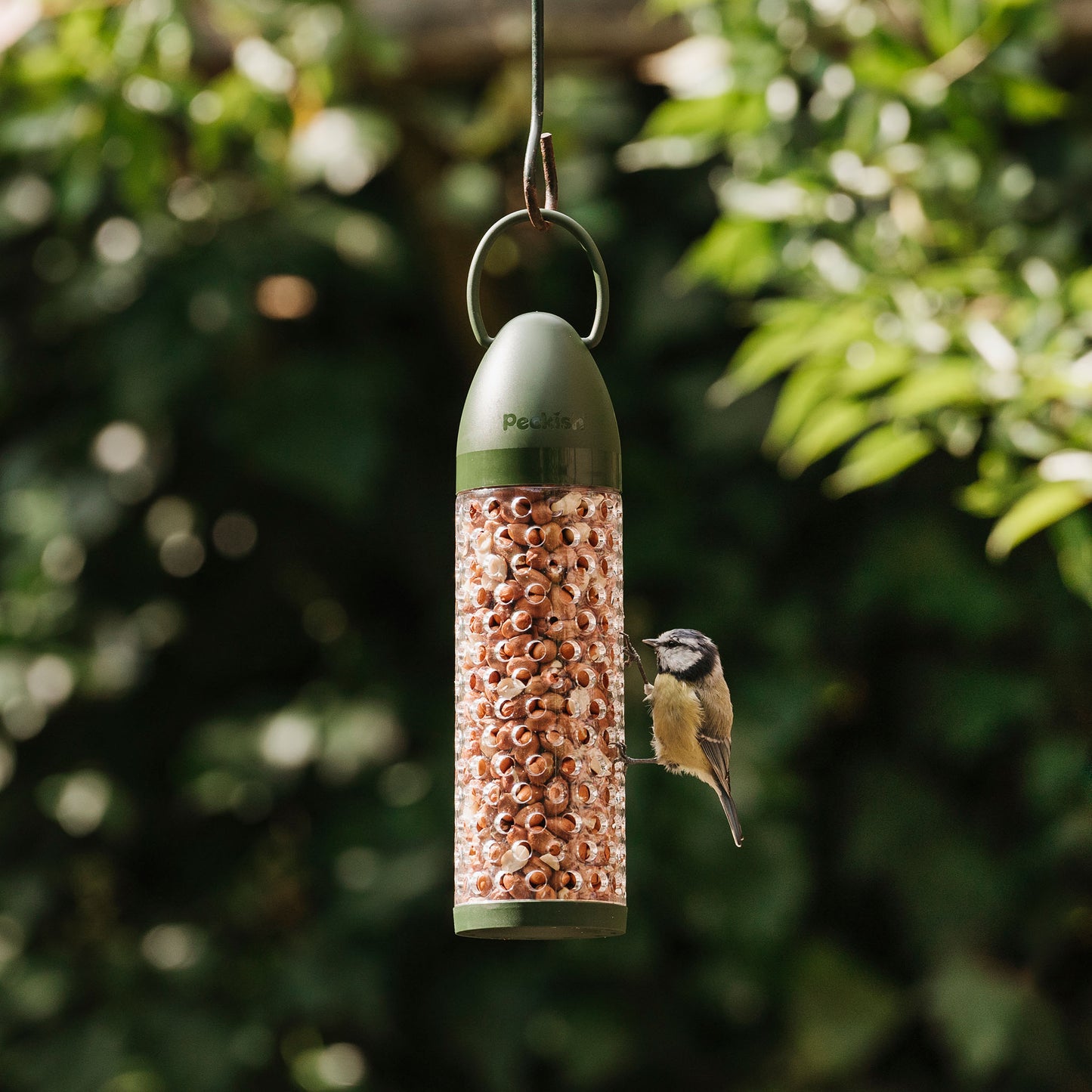 peckish peanuts fillled feeder with bird