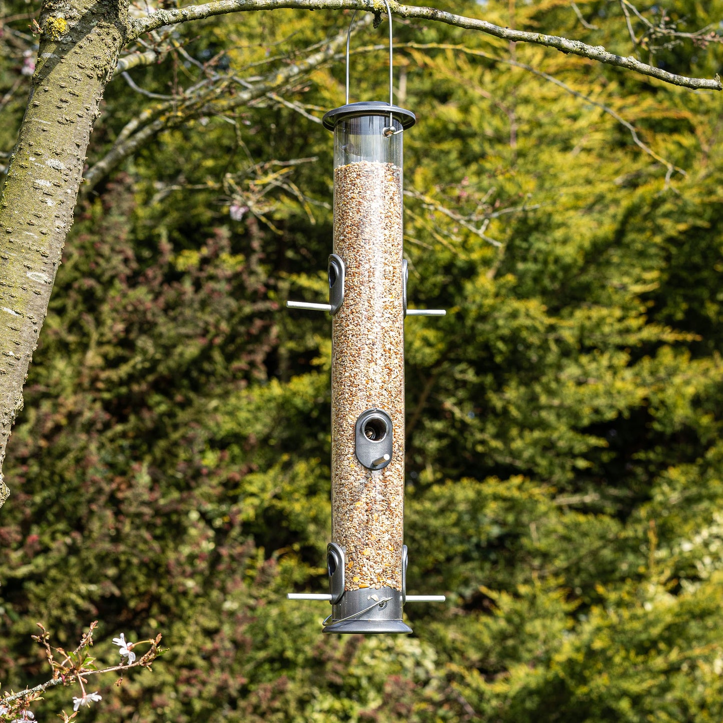 Peckish All Weather Giant Seed Feeder hanging in tree with seed mix