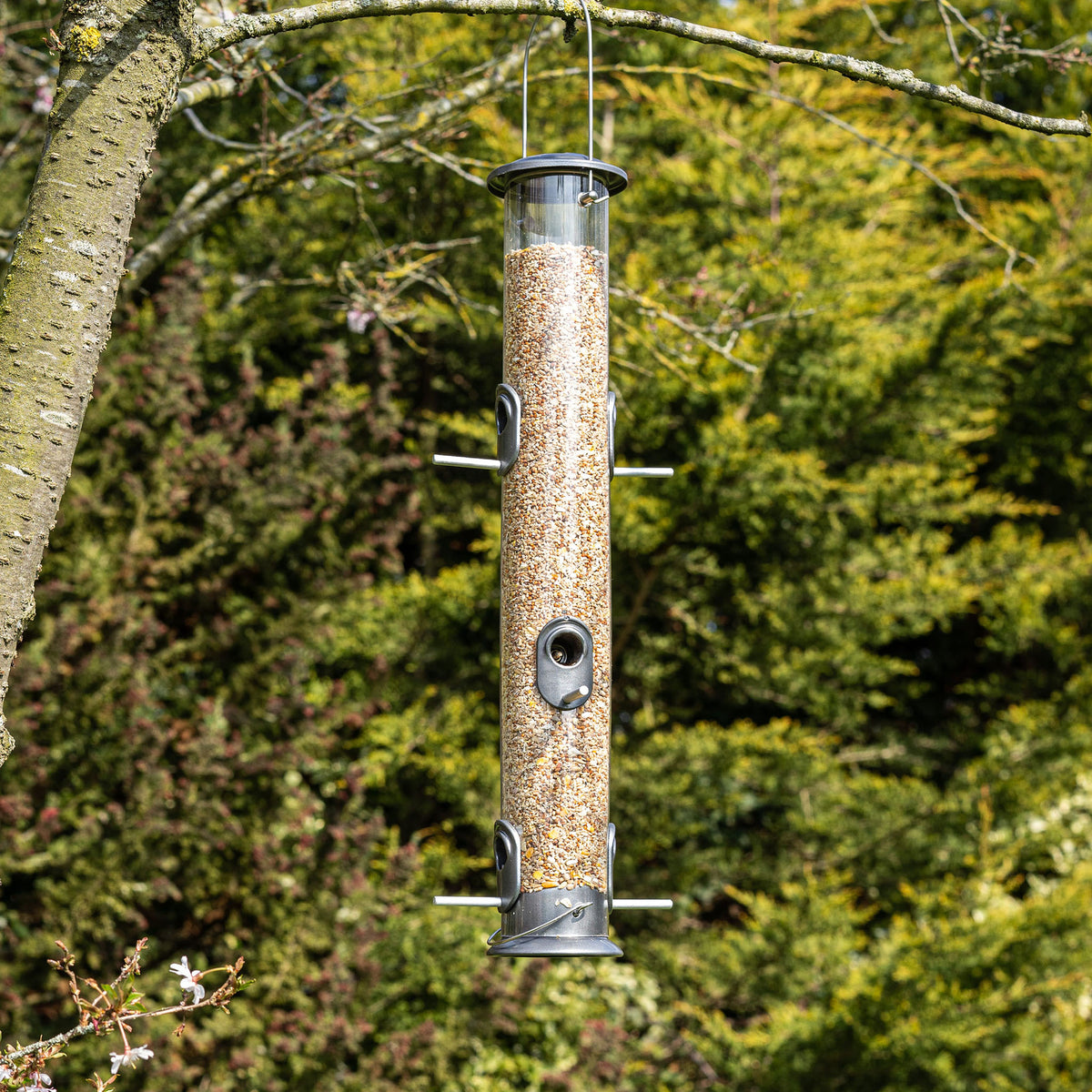 Peckish All Weather Giant Seed Feeder - Wild Bird Feeders – Peckish