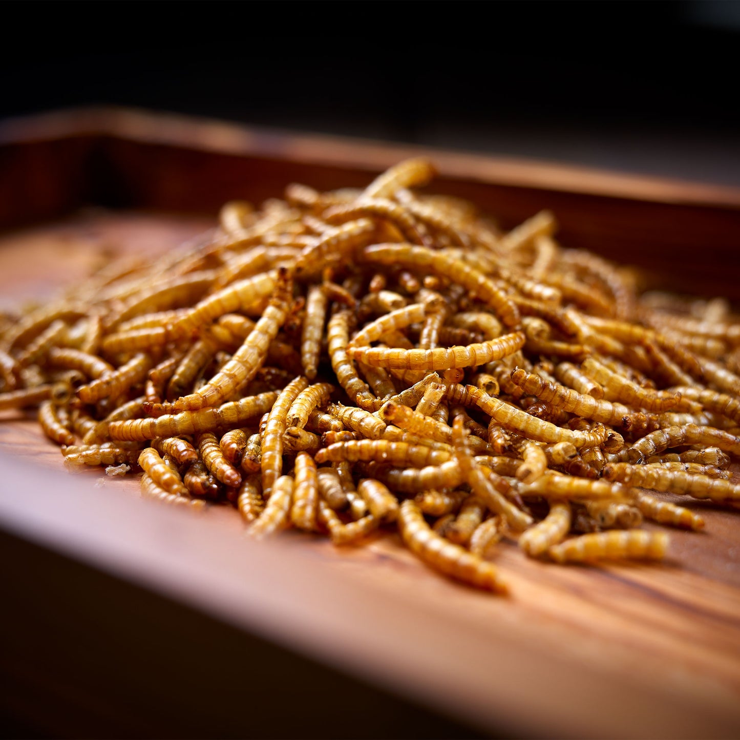 Mealworms pile
