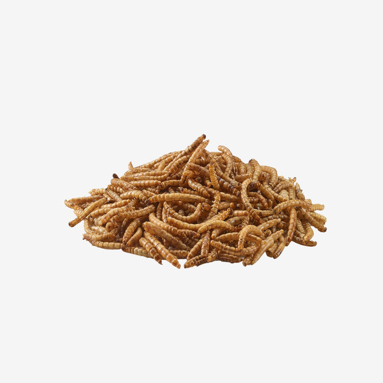 Peckish Mealworms 500g