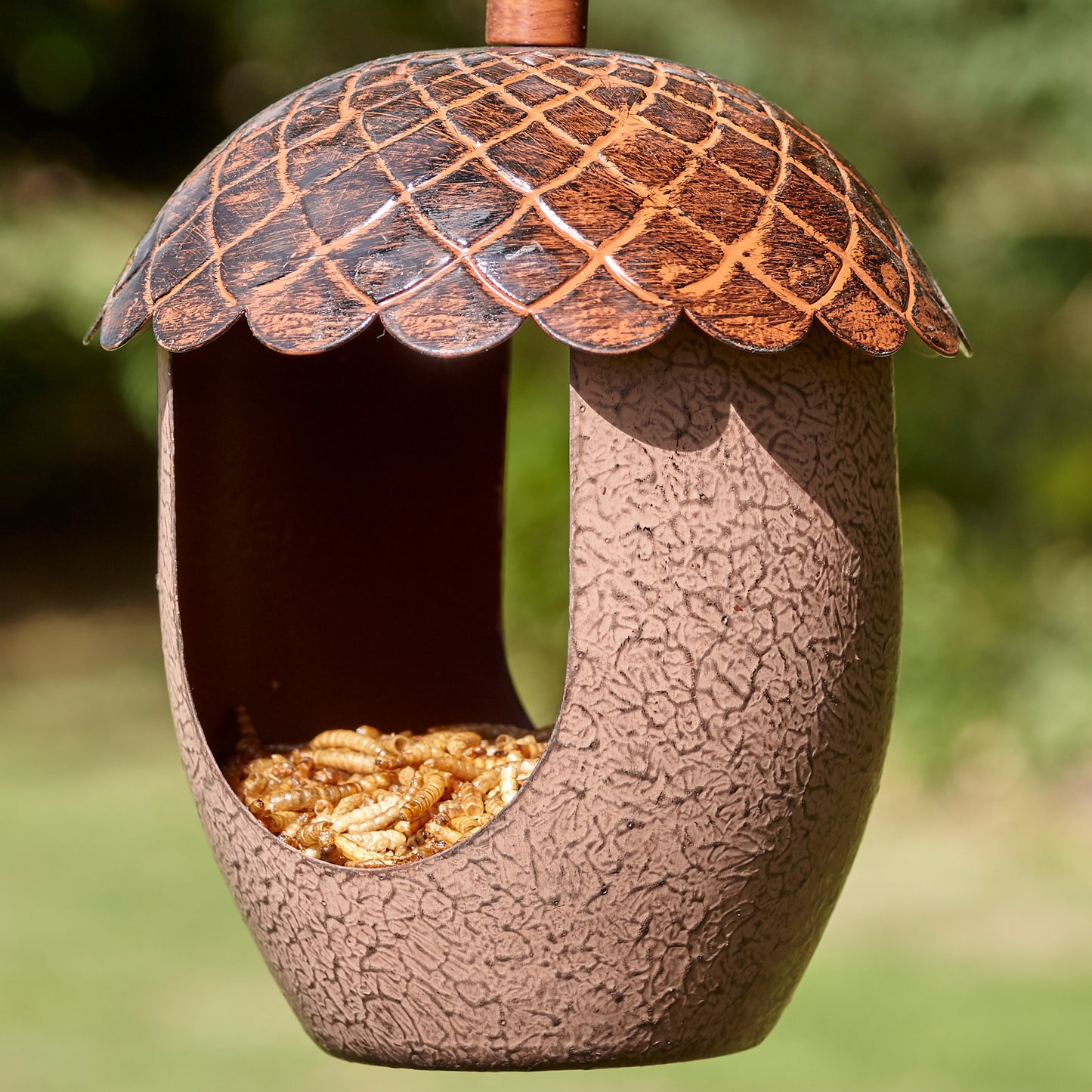 Peckish Acorn Feeder with mealworms