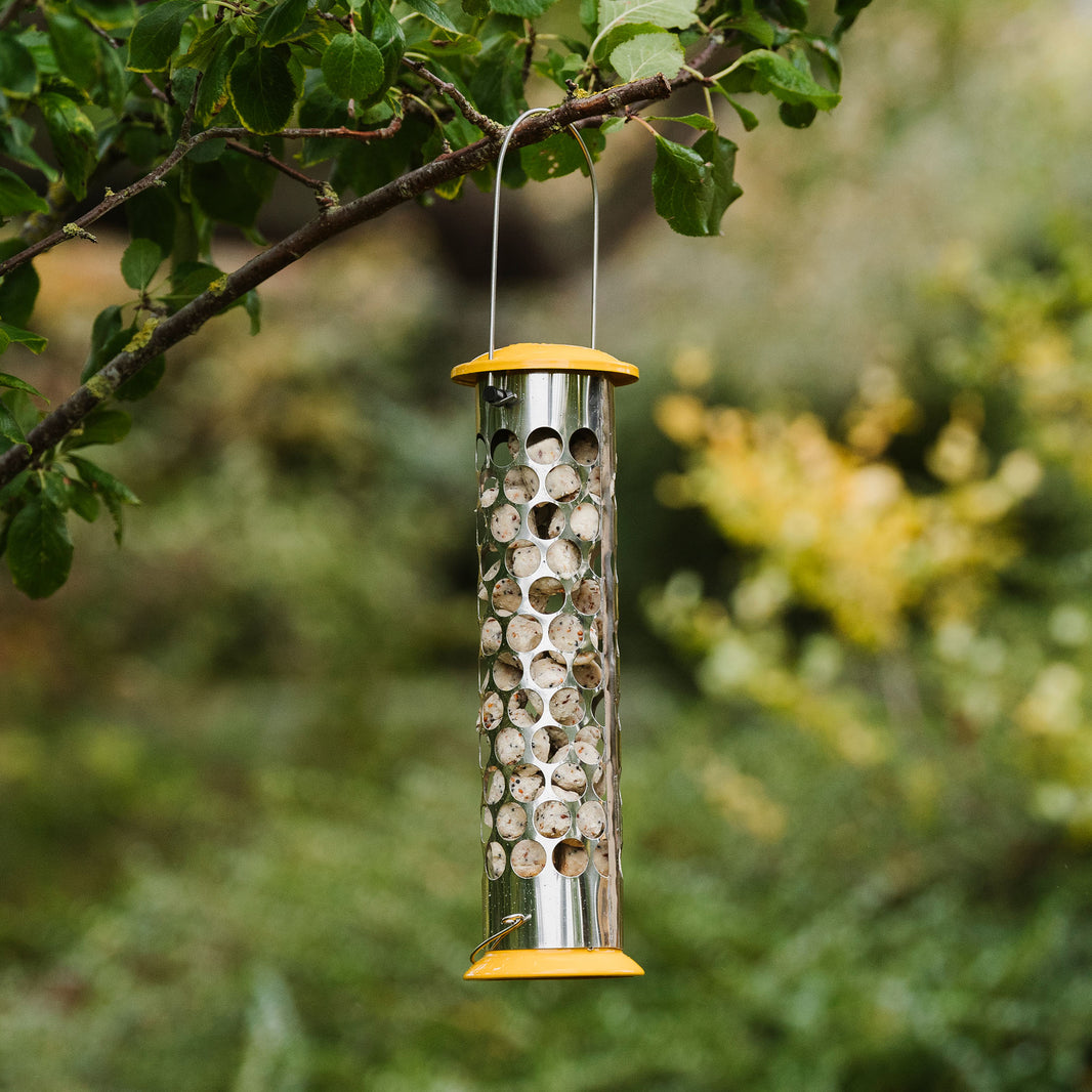 Metal Bird Feeders Bird Feeders Peckish UK