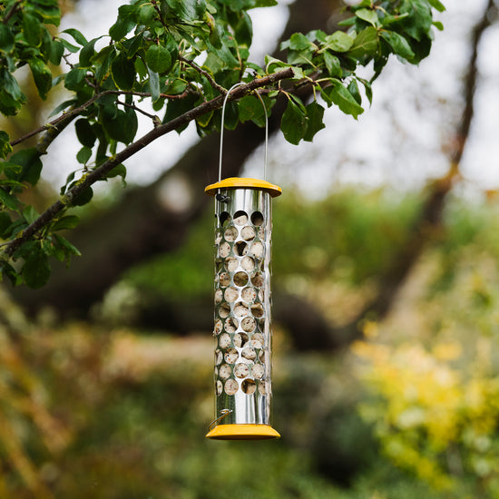 All Weather Extra Goodness Feeder with nuggets in