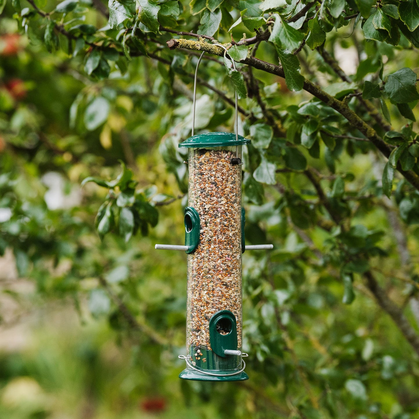 Peckish All Weather Seed Feeder hanging in tree