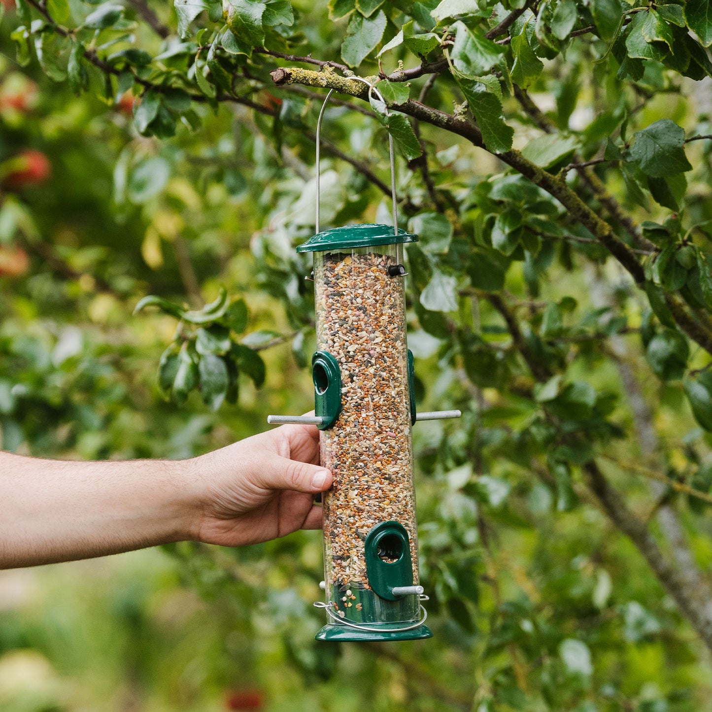 Person hanging Peckish All Weather Seed Feeder in tree