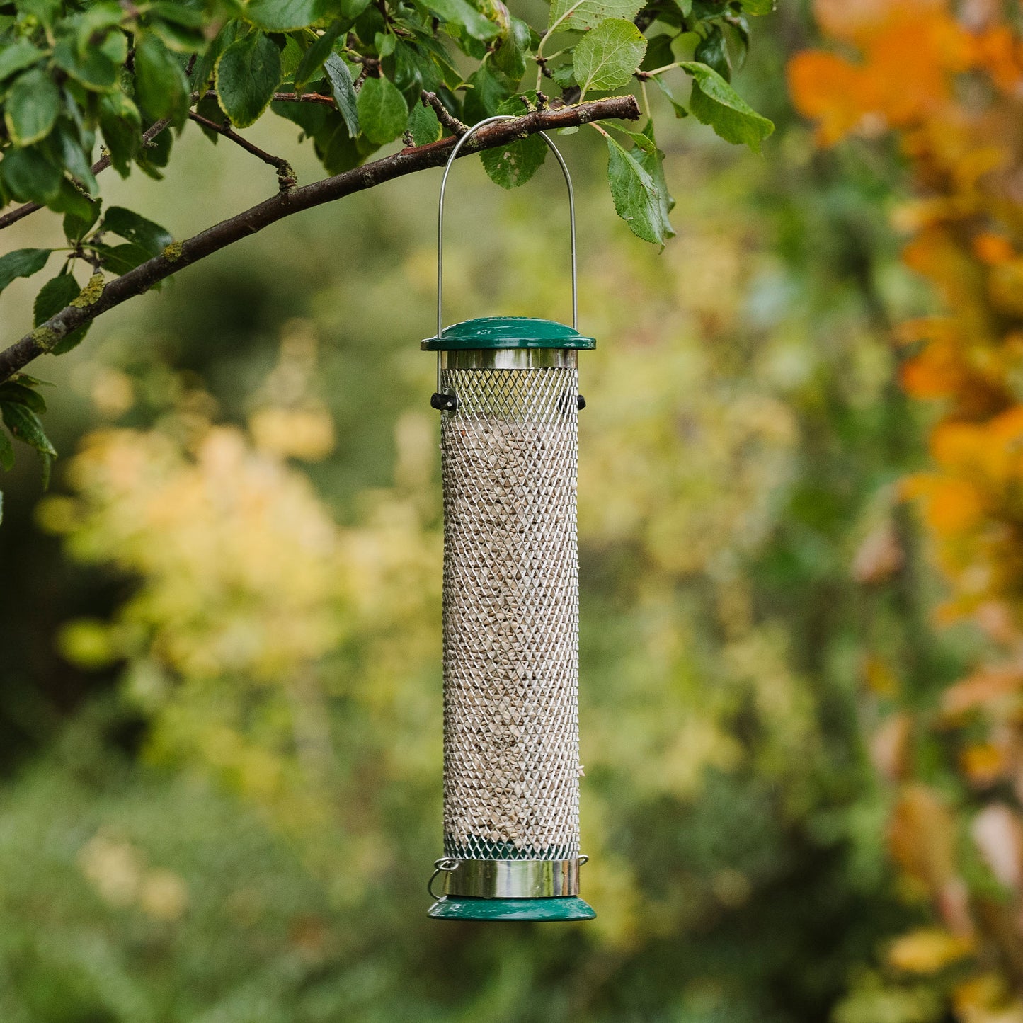 Peckish All Weather Sunflower Hearts Feeder hanging in tree