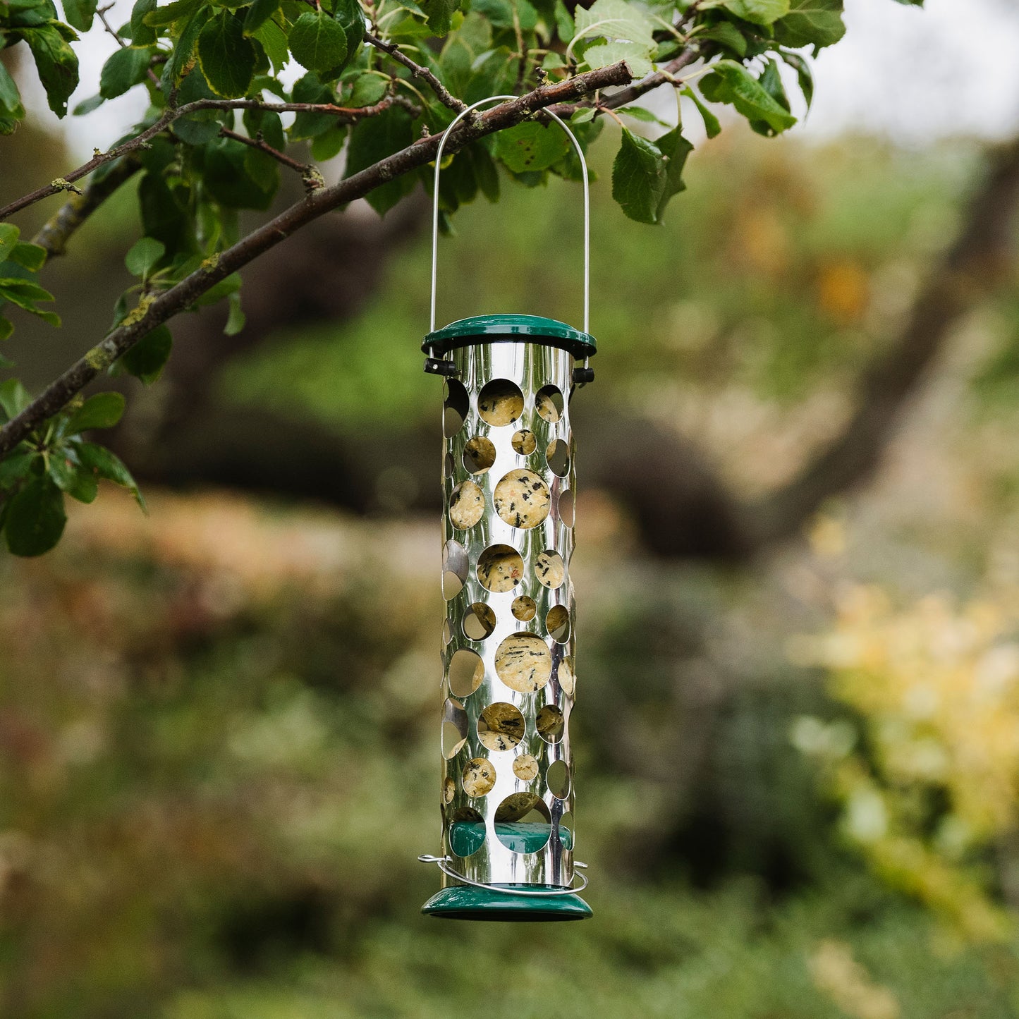 Energy ball feeder hanging from tree