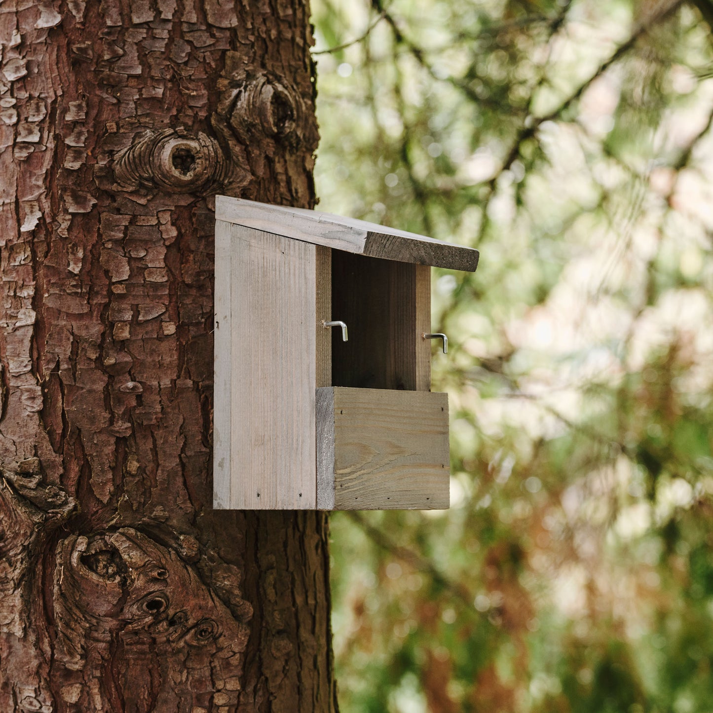 Peckish Everyday Nest Box hanging on tree with front removed