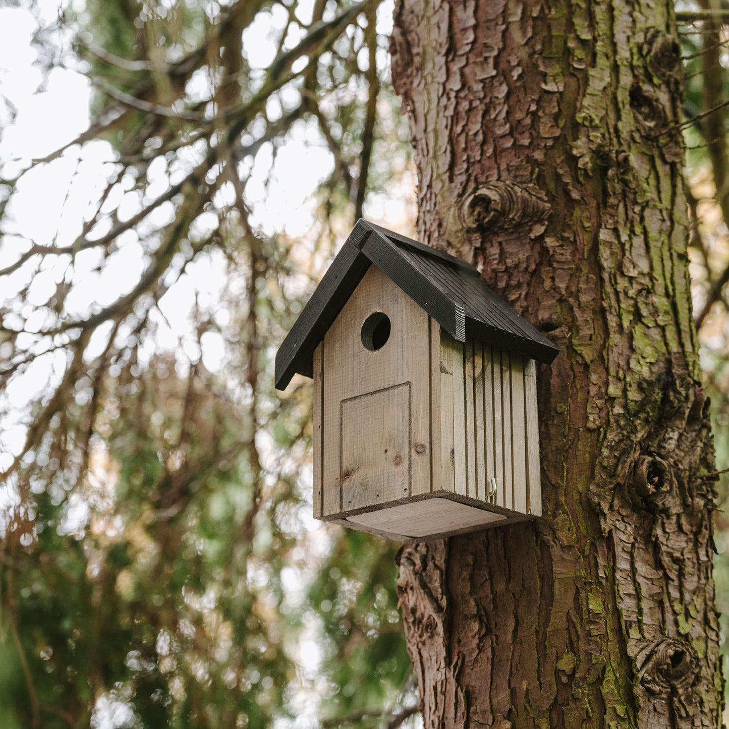 Peckish Garden Bird Nest Box hanging in tree