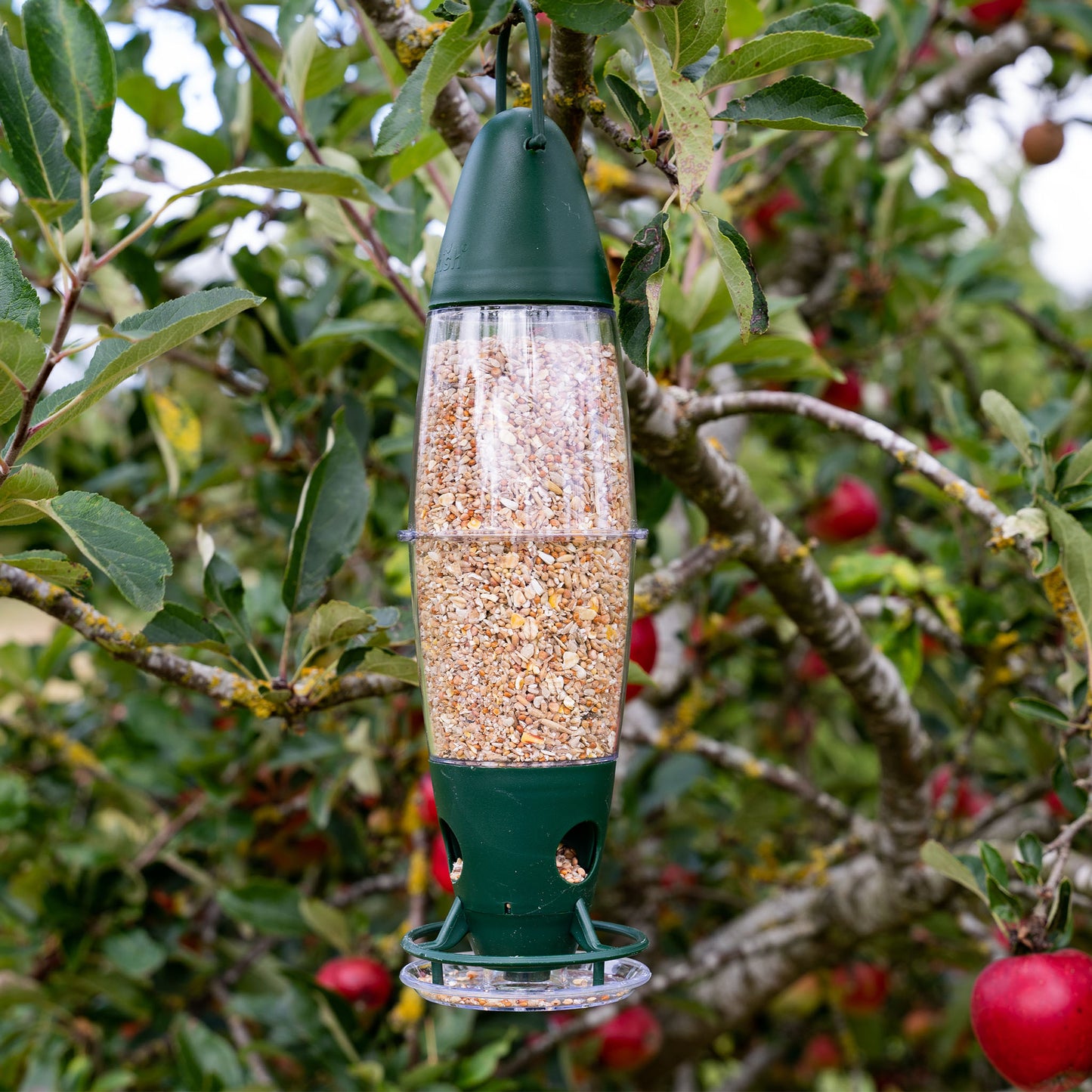 peckish 3 port feeder filled with seed hanging
