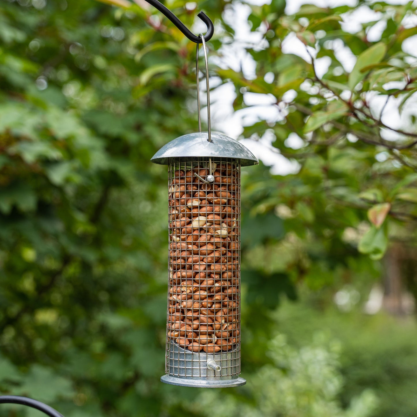Gardman Heavy Duty Peanut Feeder filled