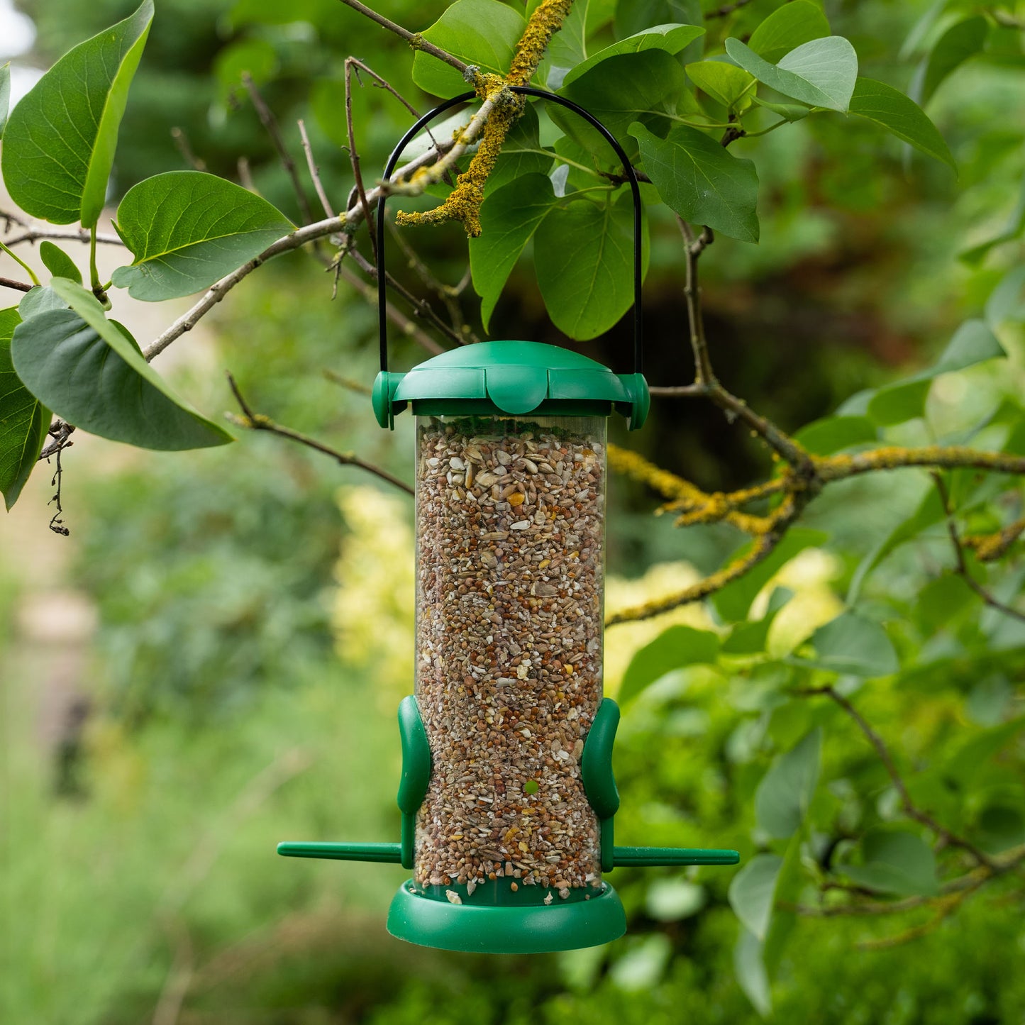 Gardman Flip Top Seed Feeder hanging on tree