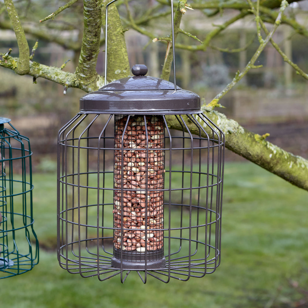 Gardman Squirrel Proof Bird Feeders Bird Feeders Peckish UK