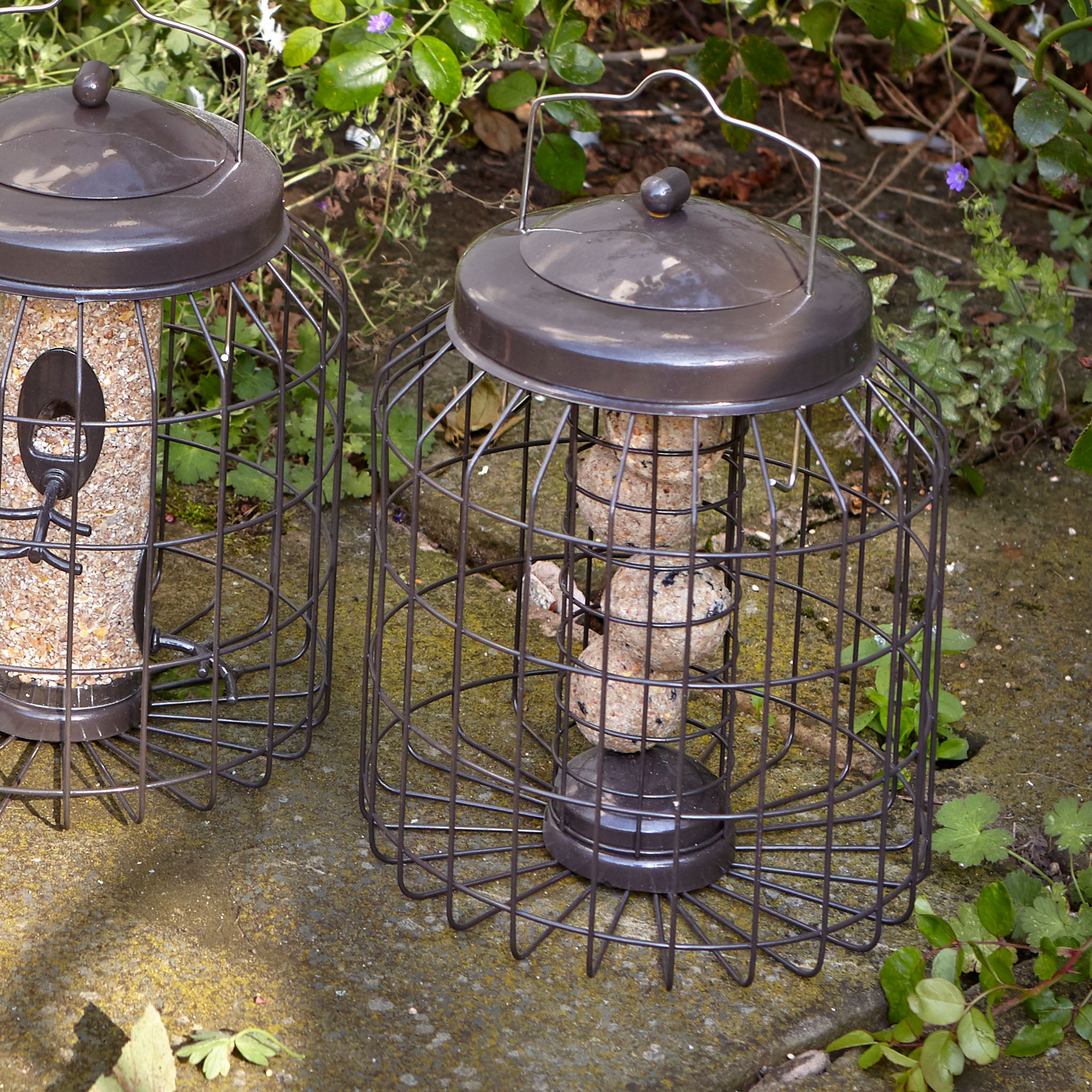 Gardman Heavy Duty Squirrel Proof Wild Bird Feeder - Peanut Fat Ball Feeder, Hanging