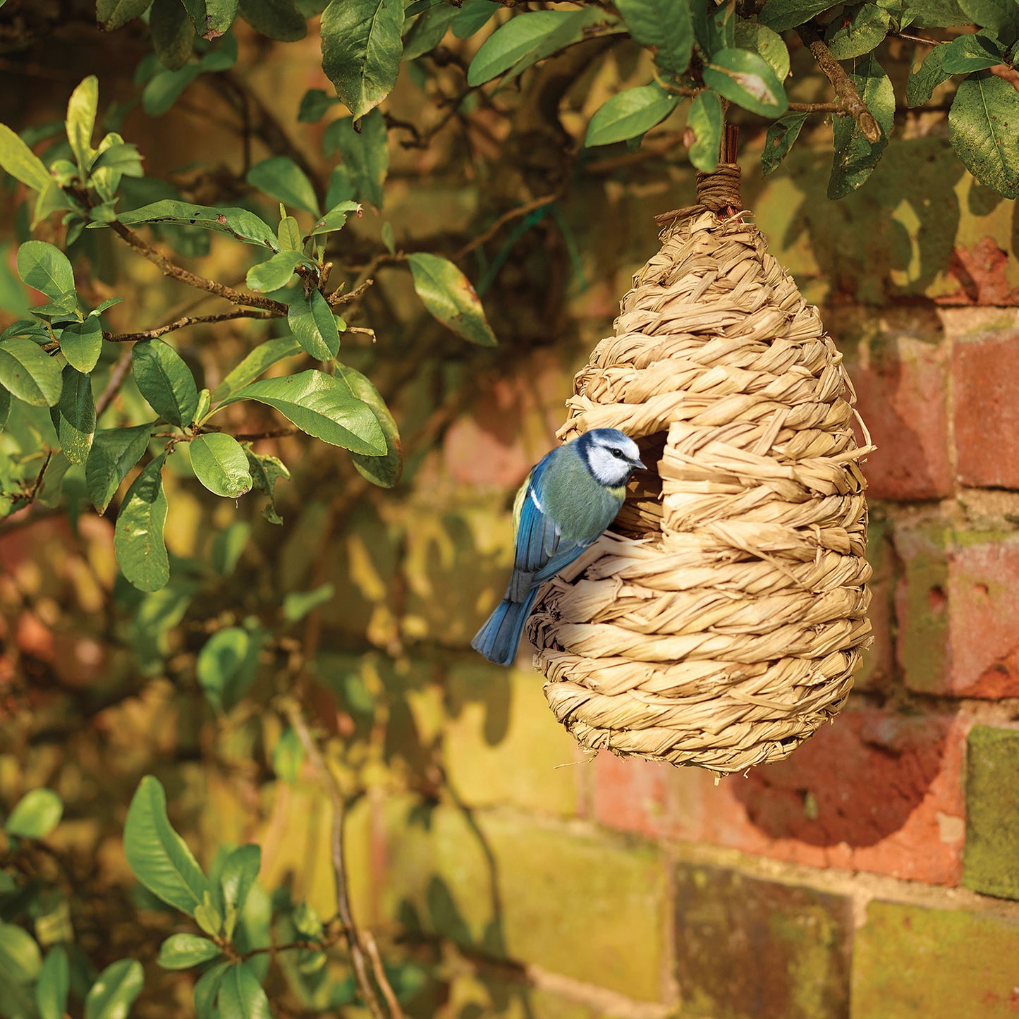 Gardman Roosting Pouch with blue tit